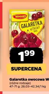Netto Galaretka owocowa Winiary oferta