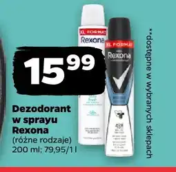 Netto Dezodorant w sprayu Rexona oferta