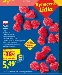 Lidl Maliny polskie oferta