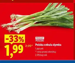 Lidl Cebula dymka polska oferta