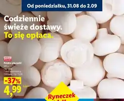 Lidl Pieczarki polskie oferta