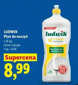 Lidl Płyn do naczyń Ludwik oferta