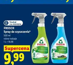 Lidl Spray do czyszczenia winogronowy Frosch oferta