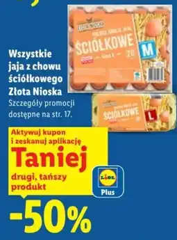 Lidl Jaja Ściółkowe Złota Nioska oferta