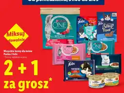 Lidl Karmy dla kotów Purina i Felix oferta