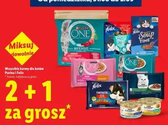 Karmy dla kotów Purina i Felix