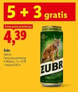 Lidl Żubr oferta
