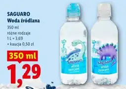 Lidl Woda źródłana Saguaro oferta