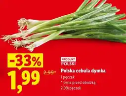 Lidl Polska cebula dymka oferta