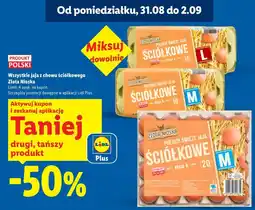 Lidl Jaja Ściółkowe Złota Nioska oferta