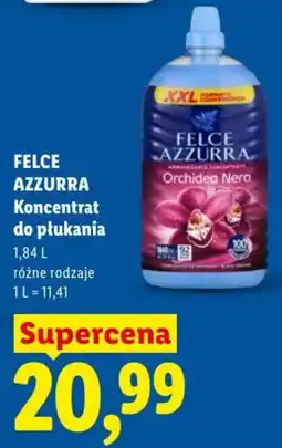 Lidl Felce Azzurra Koncentrat do płukania oferta