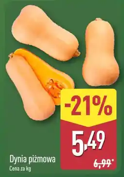 ALDI Dynia piżmowa oferta