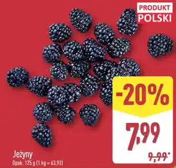 ALDI Jeżyny oferta