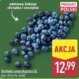 ALDI Borówka amerykańska XL oferta