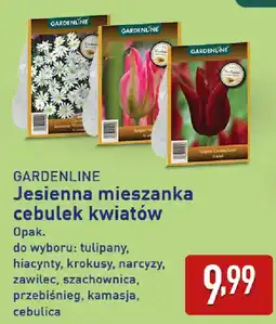 ALDI GARDENLINE Jesienna mieszanka cebulek kwiatów oferta