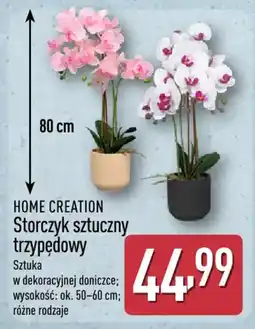 ALDI HOME CREATION Storczyk sztuczny trzypędowy oferta