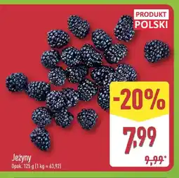 ALDI Jeżyny oferta