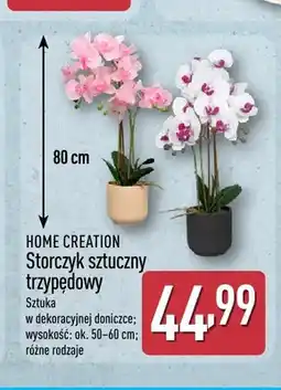 ALDI Storczyk sztuczny trzypędowy Home Creation oferta