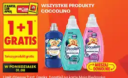 Biedronka Wszystkie produkty Coccolino oferta