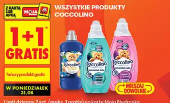 Biedronka Wszystkie produkty Coccolino oferta