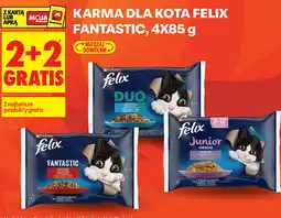 Biedronka Karma dla kota Felix Fantastic oferta
