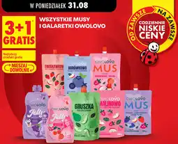 Biedronka Wszystkie musy i galaretki Owolovo oferta