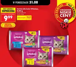 Biedronka Karma dla kota Whiskas oferta