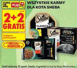 Biedronka Wszystkie karmy dla kota Sheba oferta