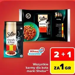 Carrefour Market Wszystkie karmy dla kota Sheba oferta