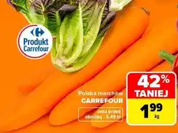 Carrefour Market Polska marchew CARREFOUR oferta