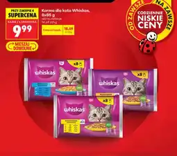 Biedronka Karma dla kota Whiskas 8-pak oferta