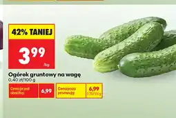 Biedronka Ogórki gruntowe oferta