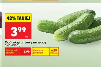 Biedronka Ogórki gruntowe oferta