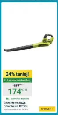 ERLI Bezprzewodowa dmuchawa Ryobi oferta
