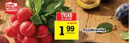 Gram Market Rzodkiewka oferta