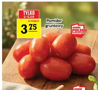 Pomidory gruntowe
