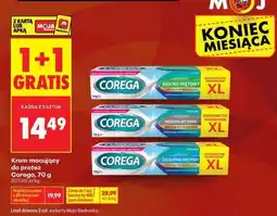 Biedronka COREGA oferta