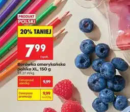 Biedronka Borówka amerykańska polska XL, 150 g oferta