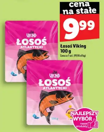 Łosoś Atlantycki Viking