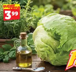 Topaz Sałata lodowa oferta