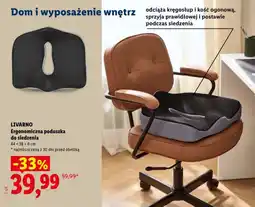 Lidl LIVARNO Ergonomiczna poduszka do siedzenia oferta