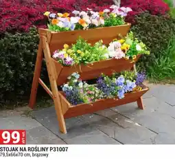 Merkury Market STOJAK NA ROŚLINY P31007 oferta