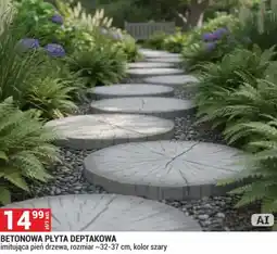 Merkury Market Betonowa Płyta Deptakowa oferta