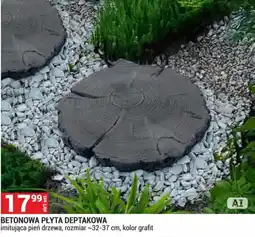 Merkury Market BETONOWA PŁYTA DEPTAKOWA oferta