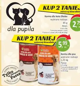 Passa Karma dla psa Passa Kawałki w sosie oferta