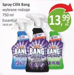 Passa Spray Cillit Bang wybrane rodzaje oferta