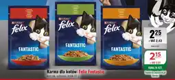 Eurocash Karma dla kotów: Felix Fantastic oferta