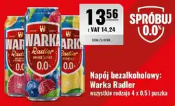 Eurocash Warka Radler Owoce Leśne oferta