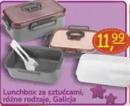 Delikatesy Paleo Lunchbox ze sztućcami, różne rodzaje, Galicja oferta