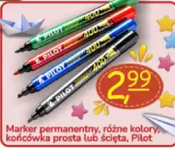 Delikatesy Paleo Marker permanentny, różne kolory, końcówka prosta lub ścięta, Pilot oferta